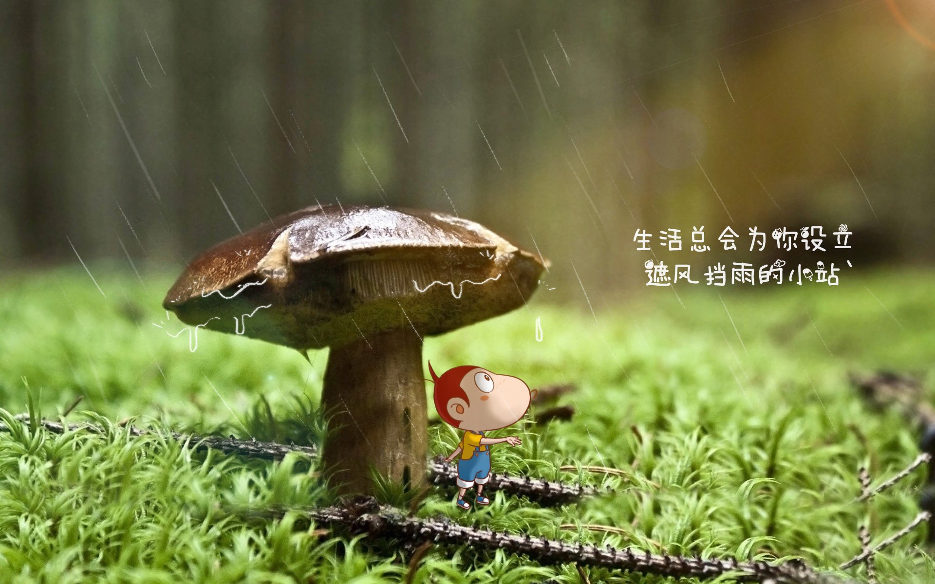 冲刺划频提升数据解读，如何提升冲刺频率