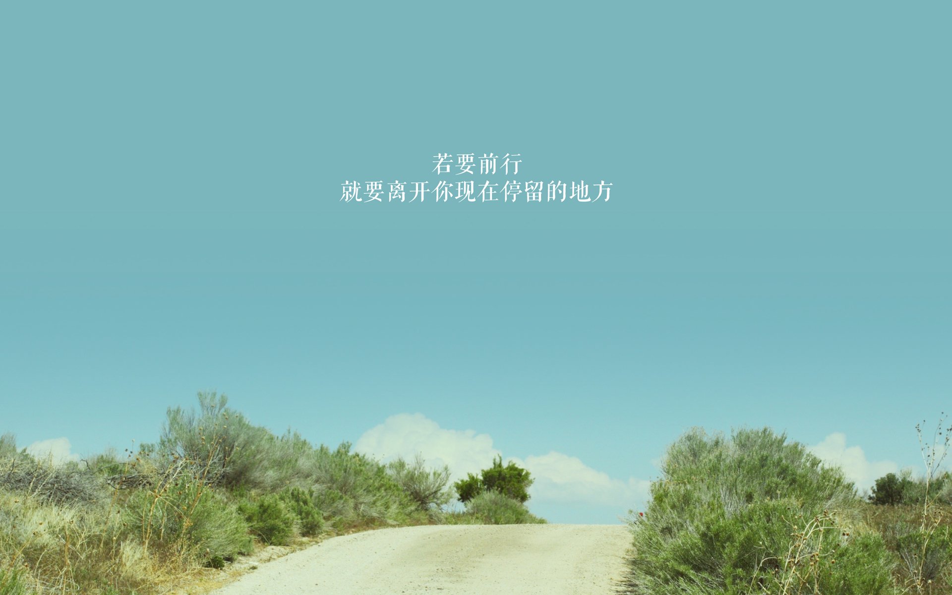 “团队的凝聚：幕后英雄的坚韧守护”，团队的背后