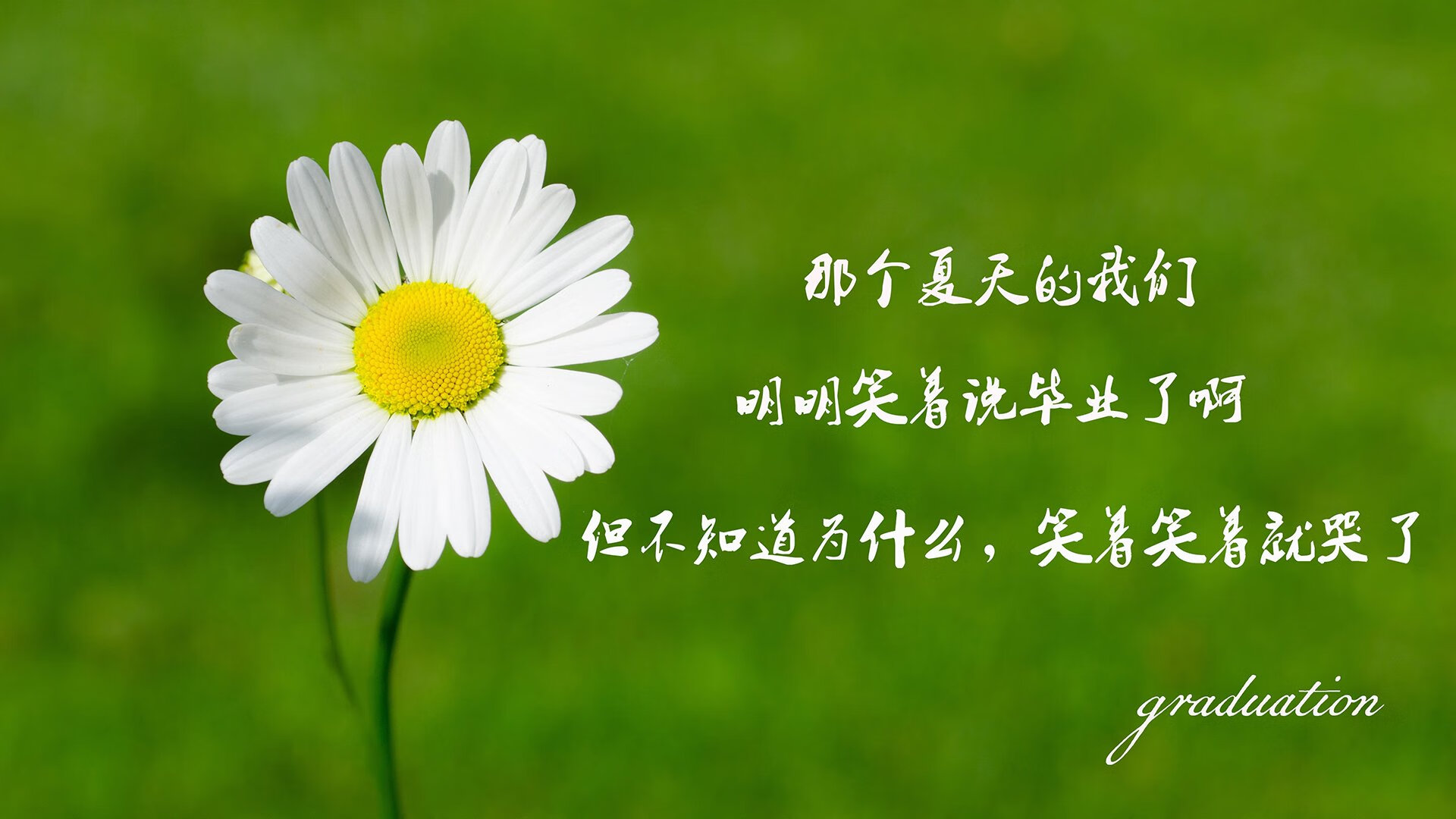 德国女子公路赛选手在比赛中获得第十二名，德国女短跑
