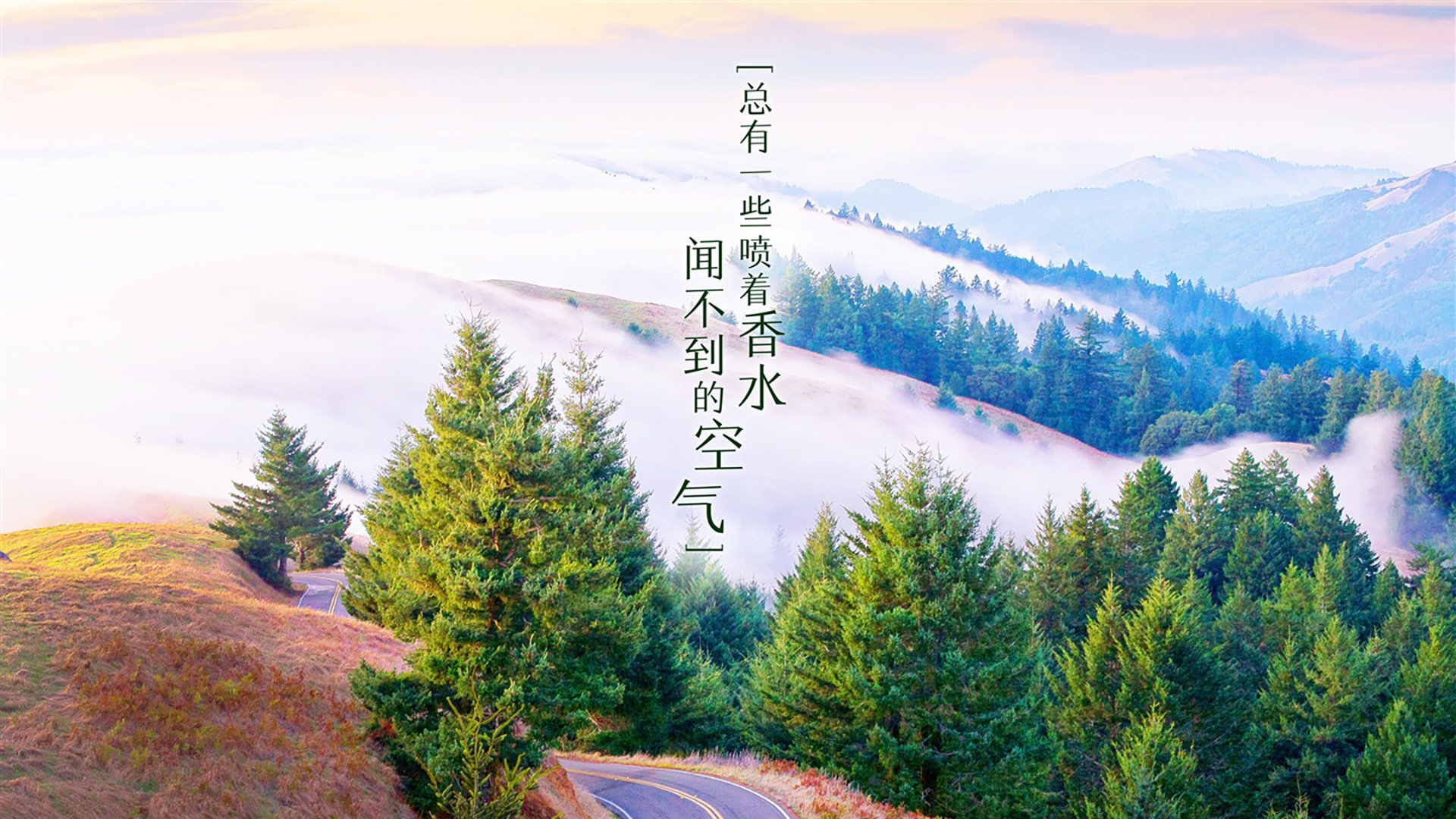 AIYOUXI.COM-挪威队在比赛中展现出令人瞩目的实力，挪威小组赛