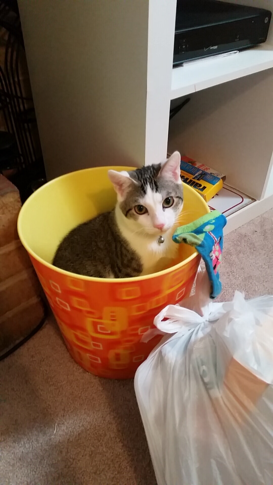 “高新区全民健身馆:短柄墙球赛,战术与力量的无缝对接”