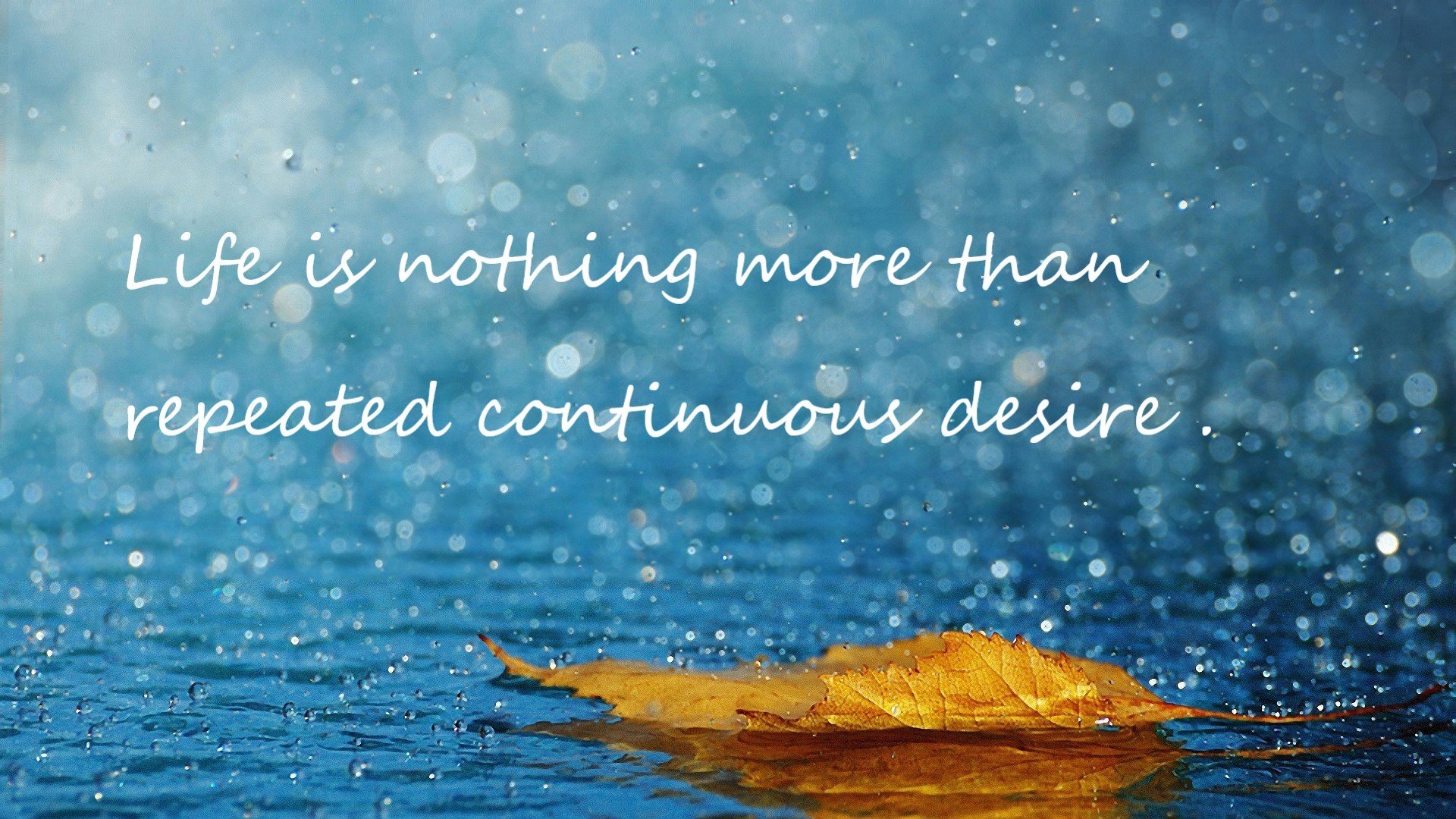 马拉维男篮在非洲锦标赛中奋勇夺冠,创造非洲体育新奇迹,非洲马拉维在什么地方